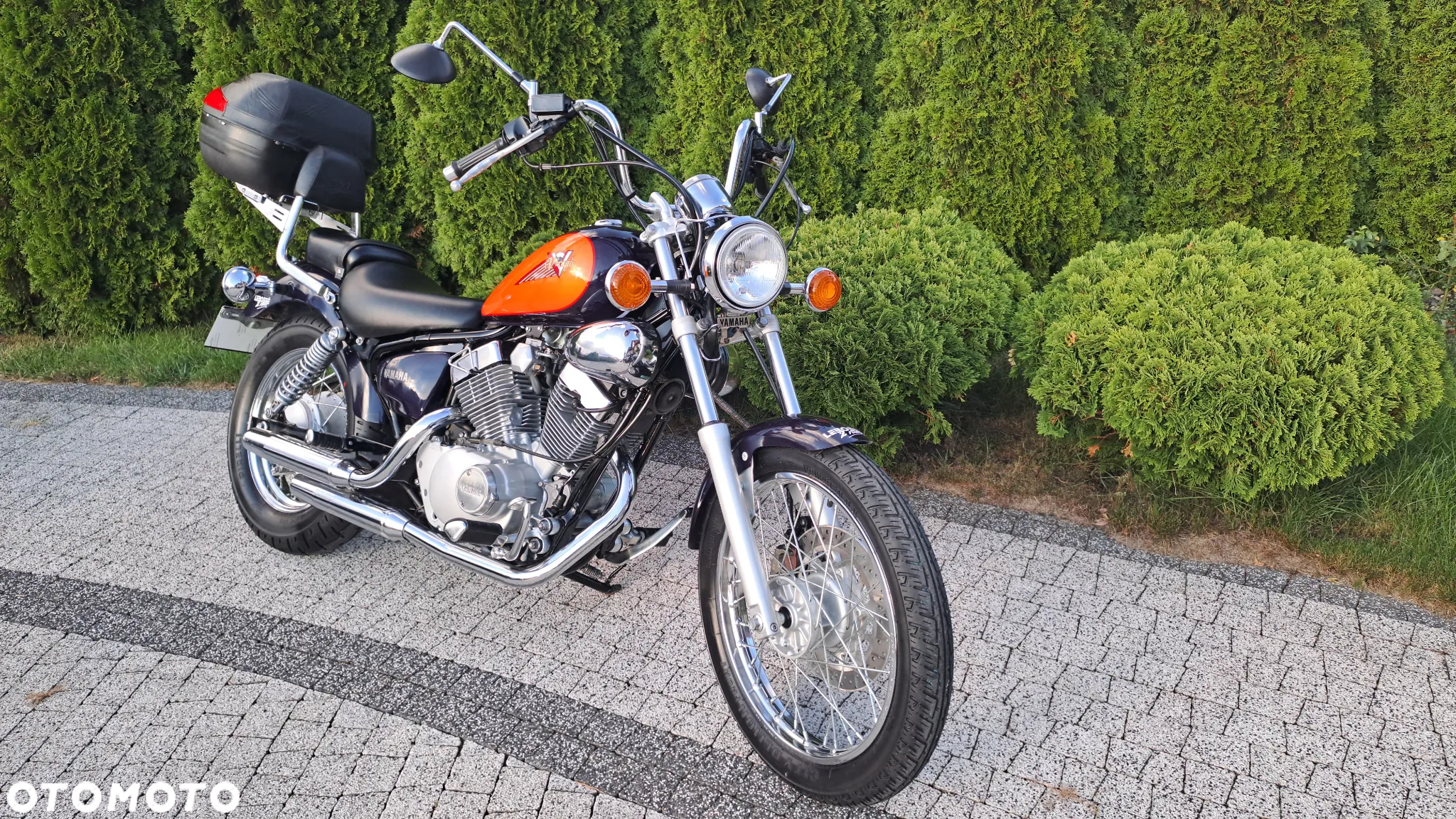 Yamaha Virago - 7