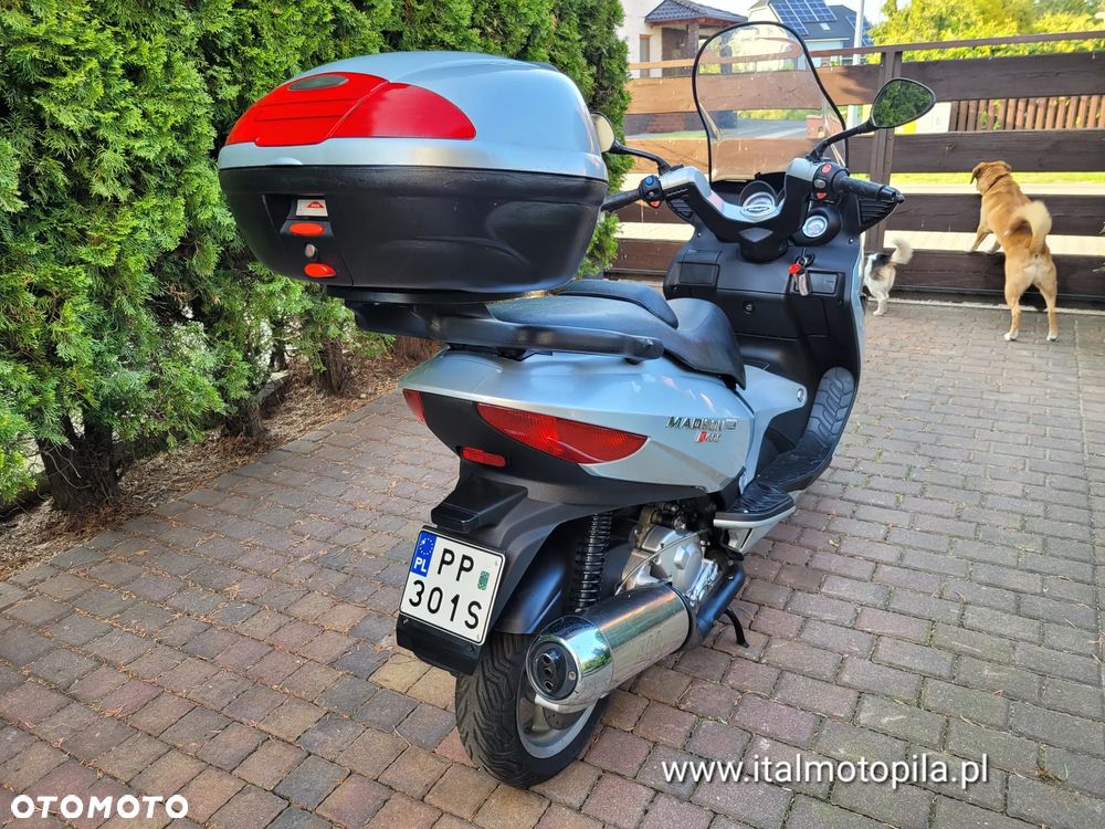 Malaguti Madison - 19