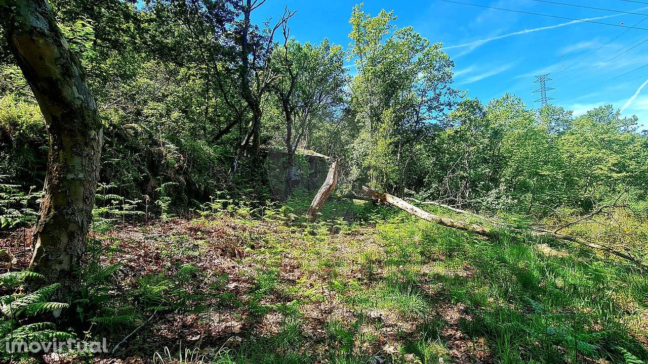 Terreno  para venda - Grande imagem: 3/23