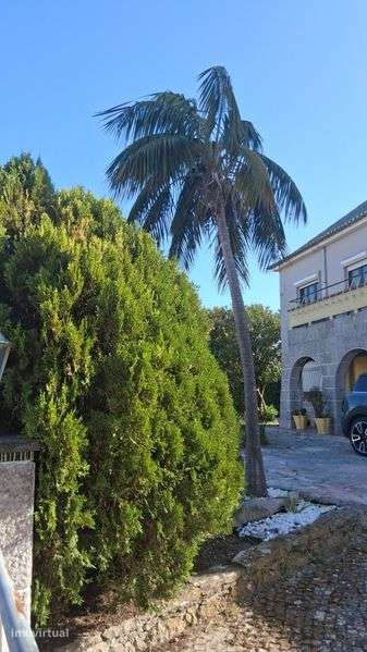 Arrendo moradia na Charneca de Caparica - Grande imagem: 4/8