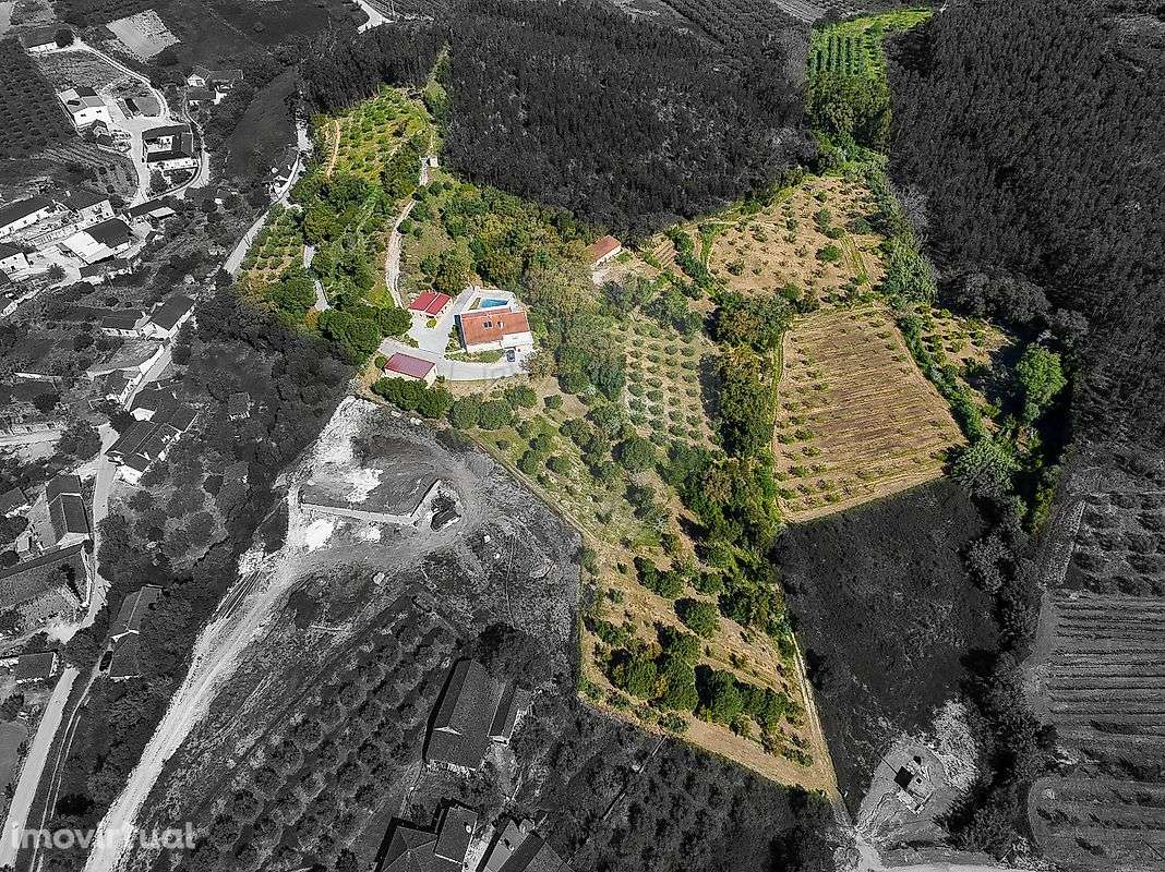 Quinta T4 para venda - Grande imagem: 2/50