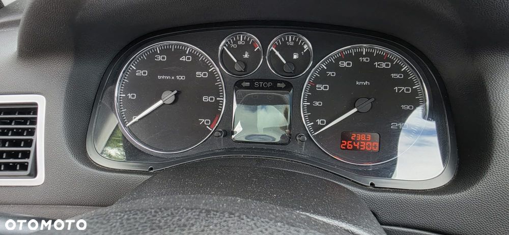 Peugeot 307 1.6 Premium Class - 2