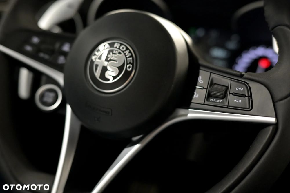 Alfa Romeo Stelvio 2.0 Turbo TI Q4 - 14