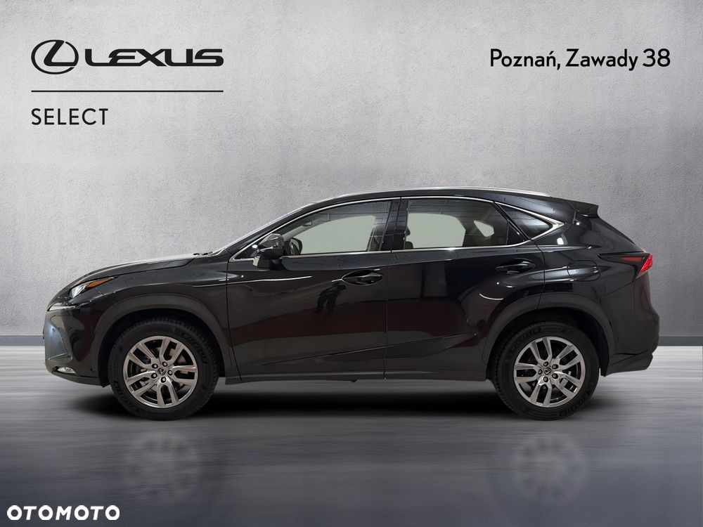 Lexus NX 300 Optimum AWD - 5
