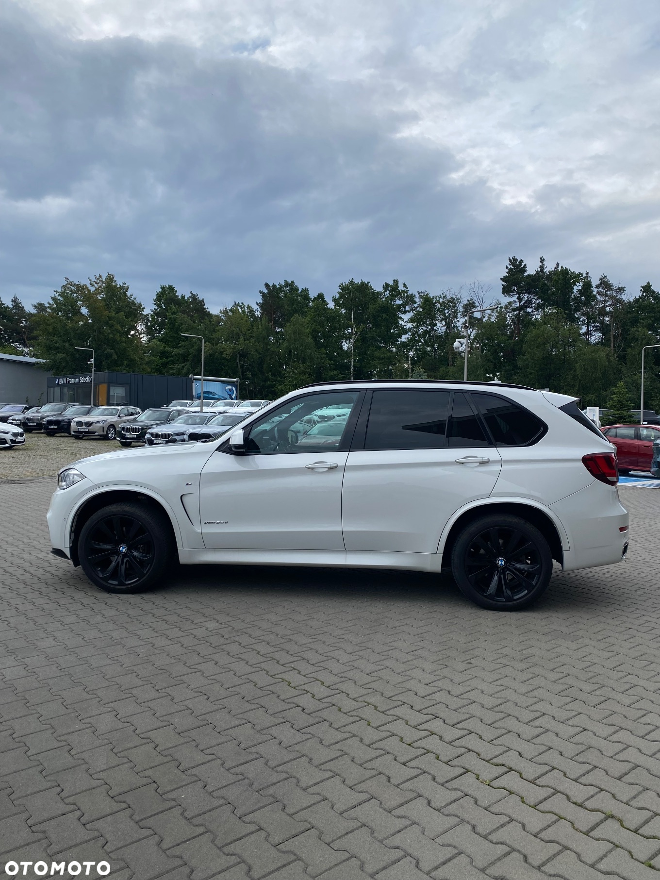 BMW X5 xDrive30d - 4