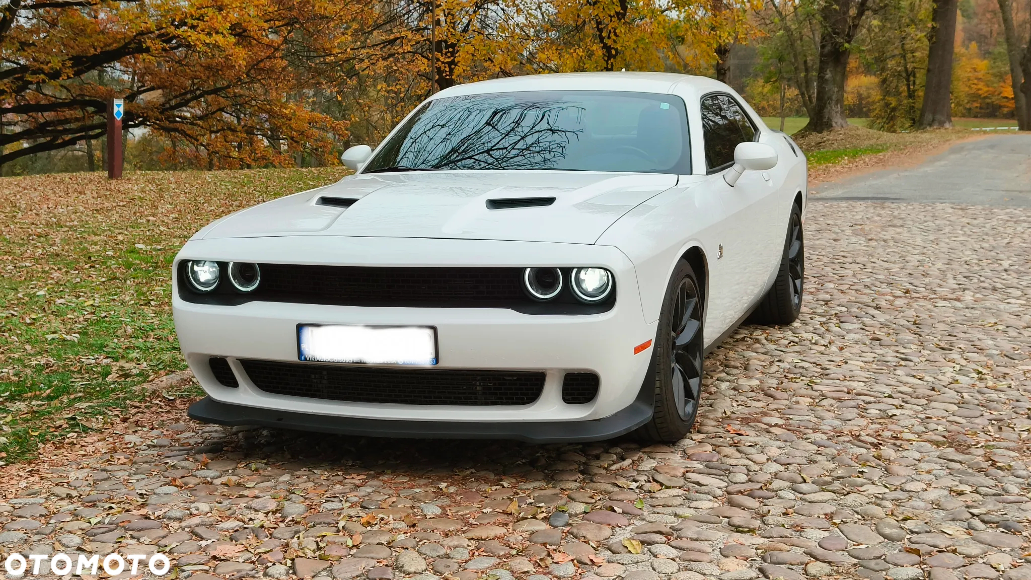 Dodge Challenger Automatik R/T Plus Scat Pack - 2