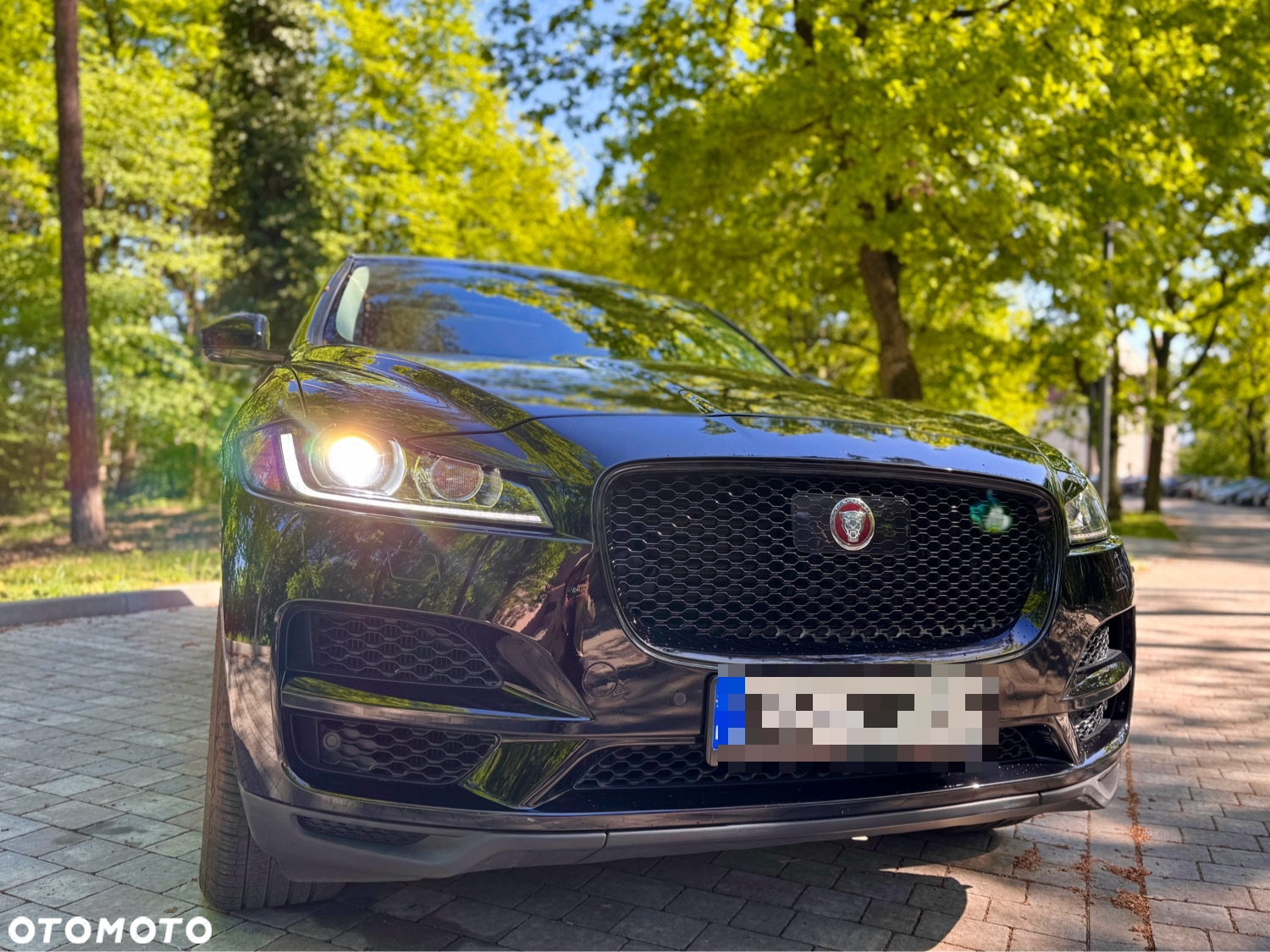 Jaguar F-Pace 25t AWD Prestige - 2