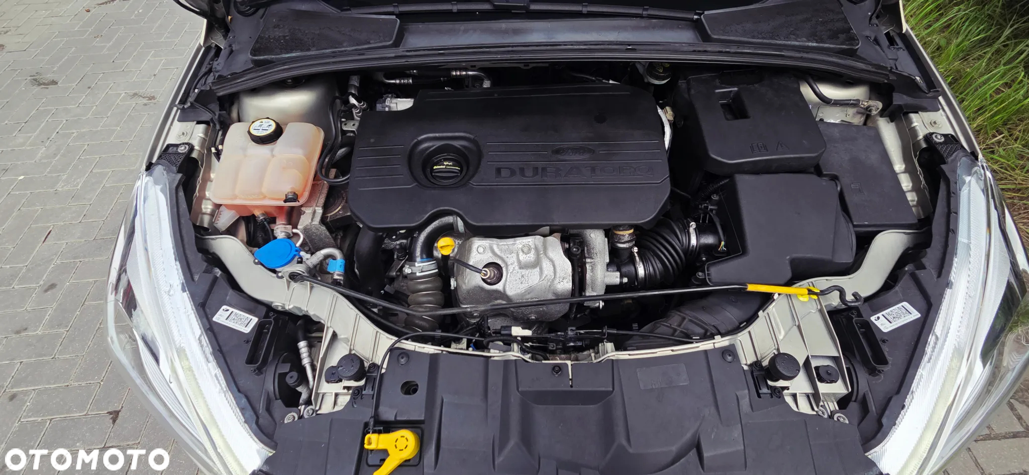 Ford Focus 1.5 EcoBlue Start-Stopp-System TITANIUM DESIGN - 38