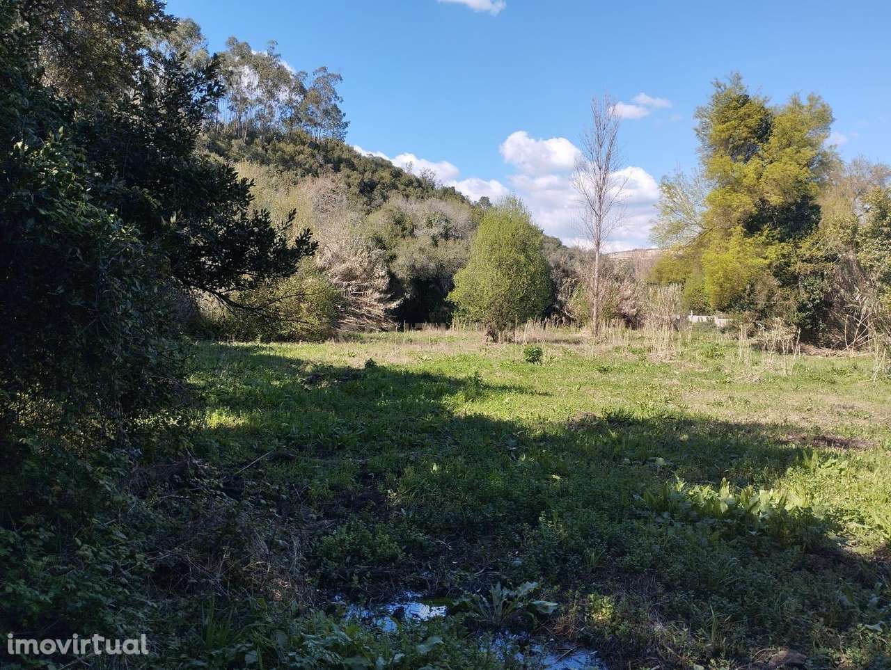Terreno em Almoster - Santarém - Grande imagem: 5/5