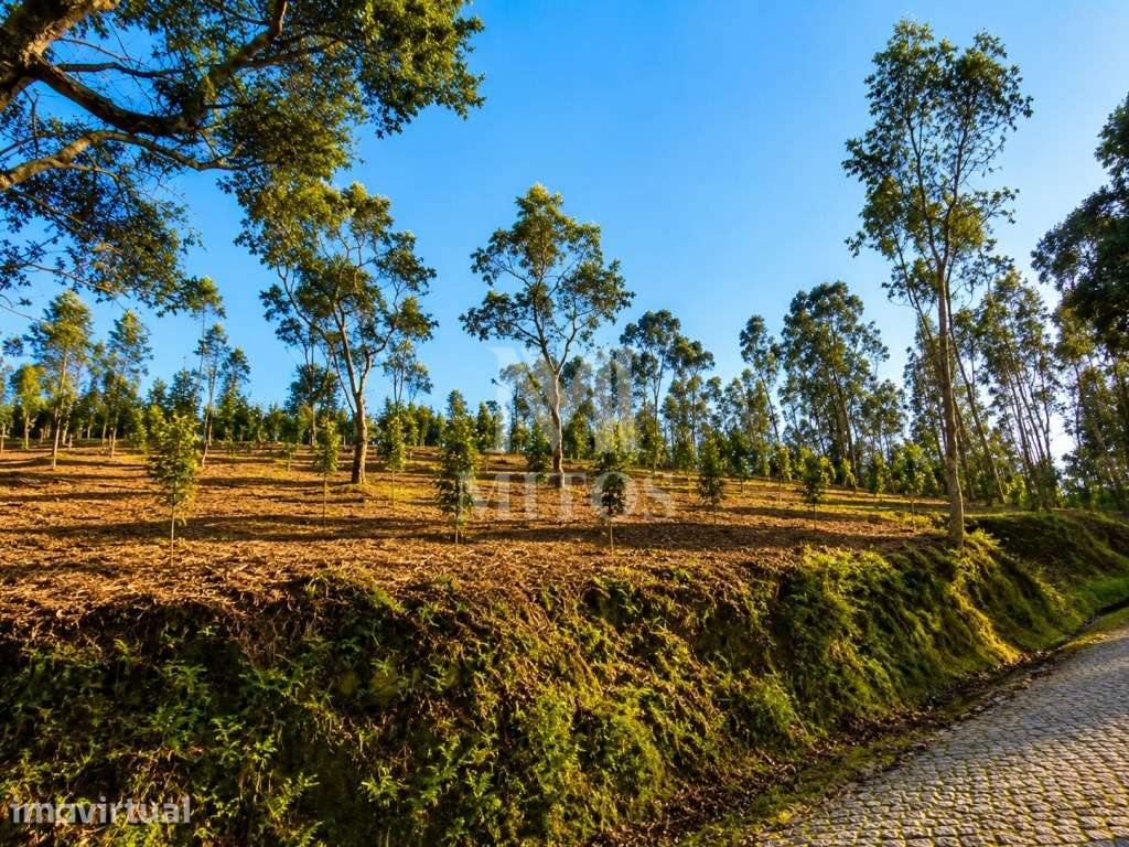 Terreno de construção - Grande imagem: 4/9