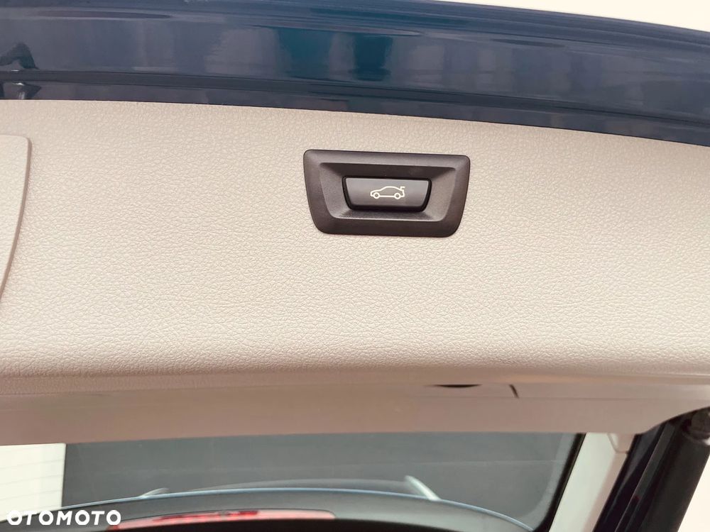 BMW Seria 3 318d Blue Performance Luxury Line - 21