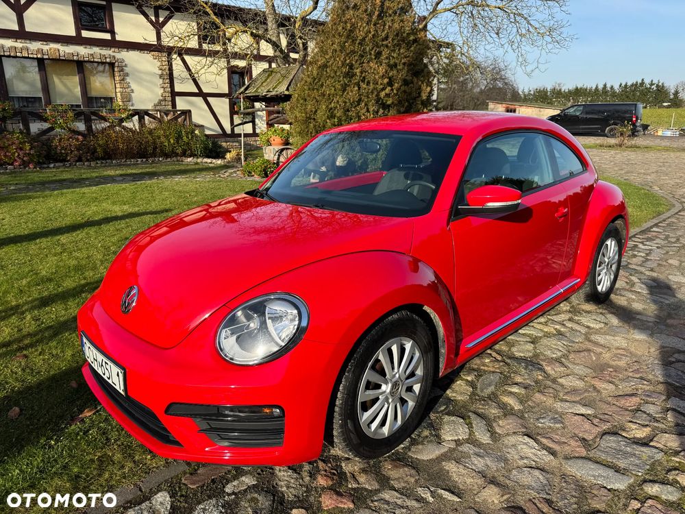 Volkswagen Beetle - 5