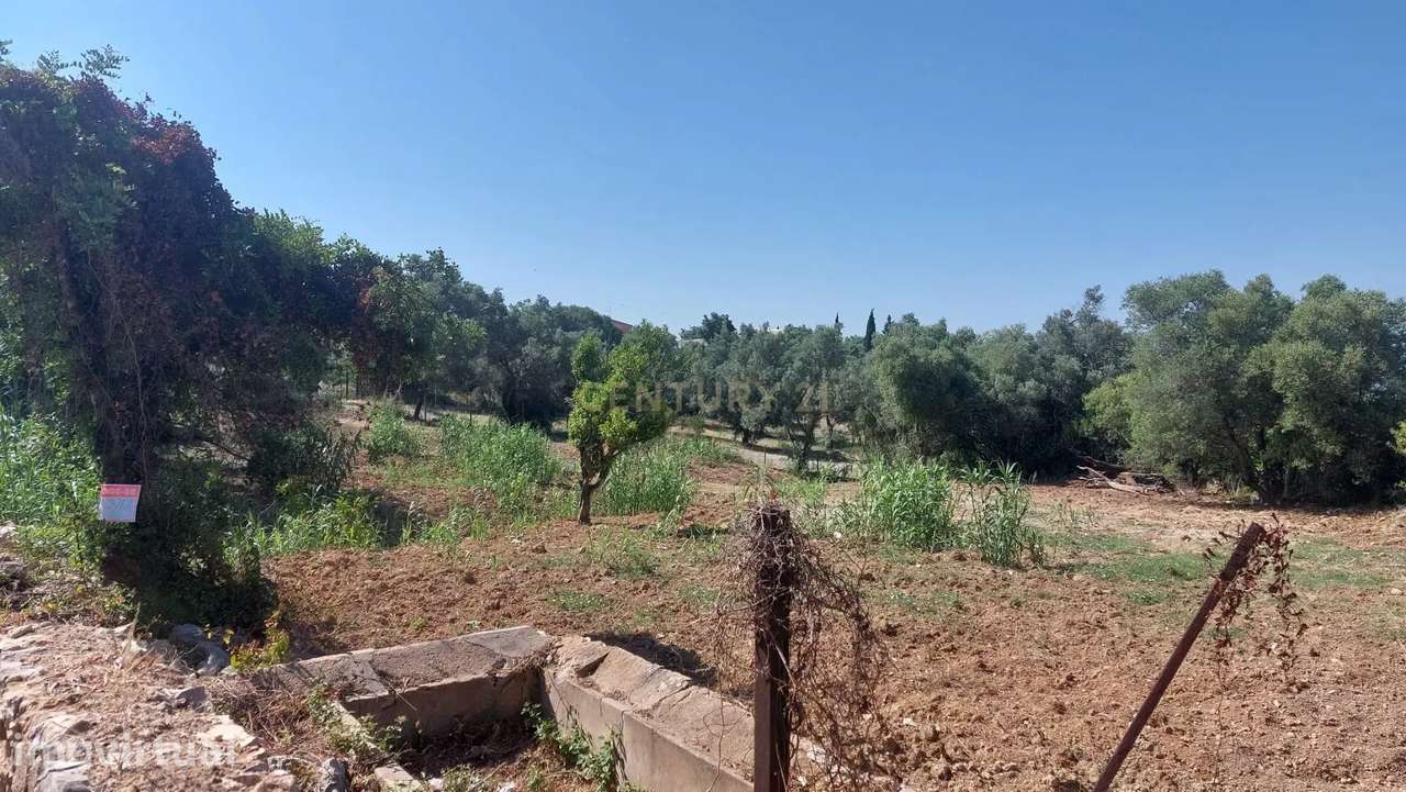 Terreno Rústico com 2.280 m² em Santa Bárbara de Nexe – Sítio do Canal - Grande imagem: 5/24