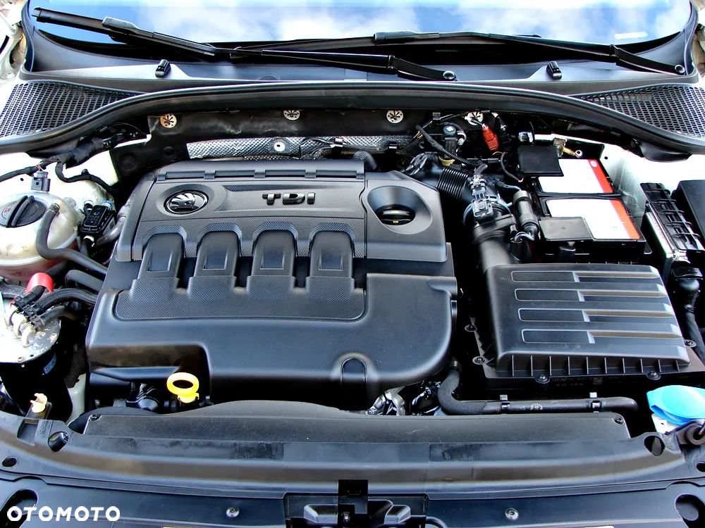 Skoda Octavia 1.6 TDI (Green tec) Joy - 17