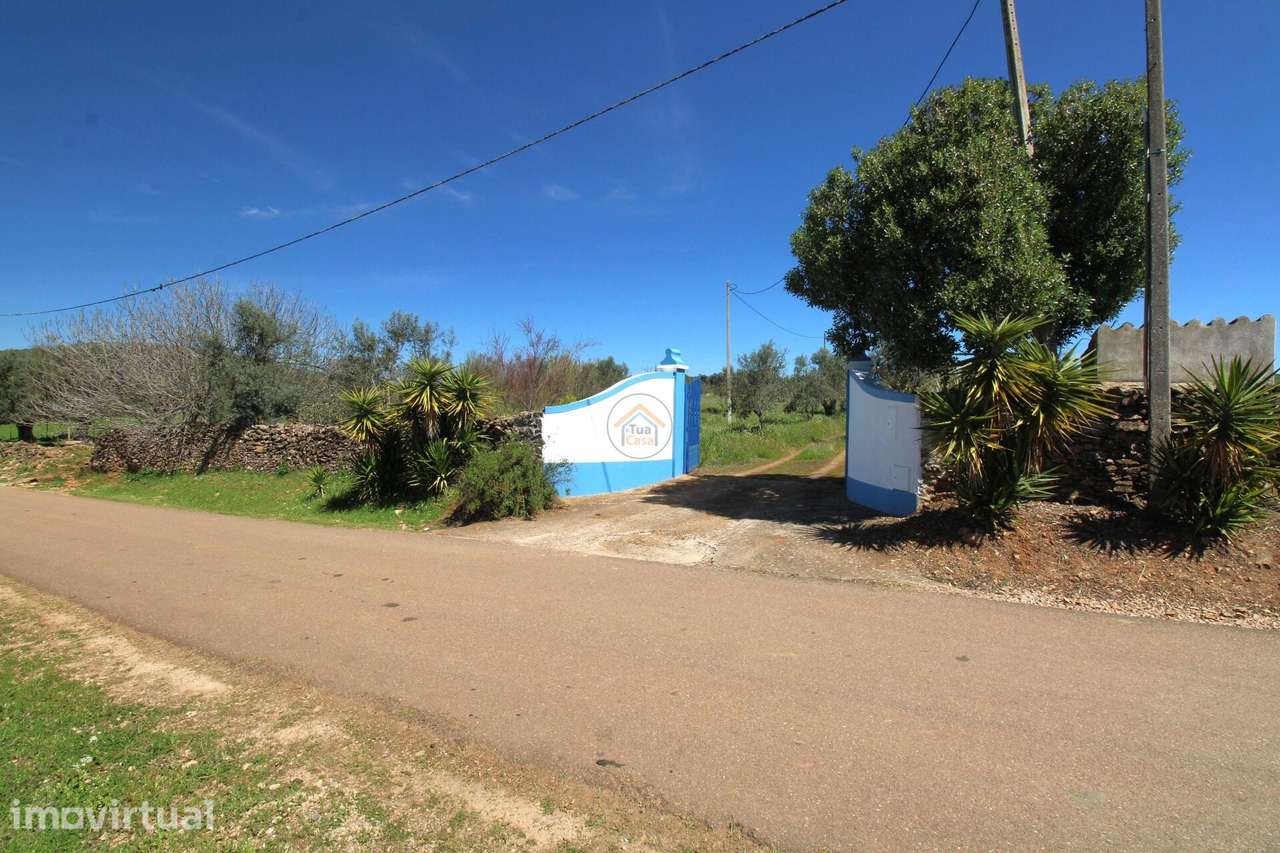 Quinta com 3,35 Hectares com Habitação de 130m2 localizada em Vila Boi - Grande imagem: 2/46