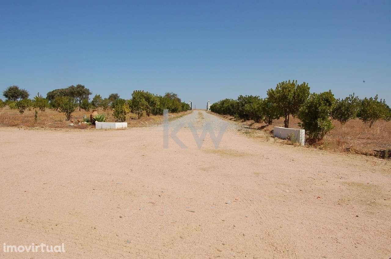 Quinta 12,6 ha, Moradia de um piso, Tipologia T2 com Piscina em Caruja - Grande imagem: 5/60