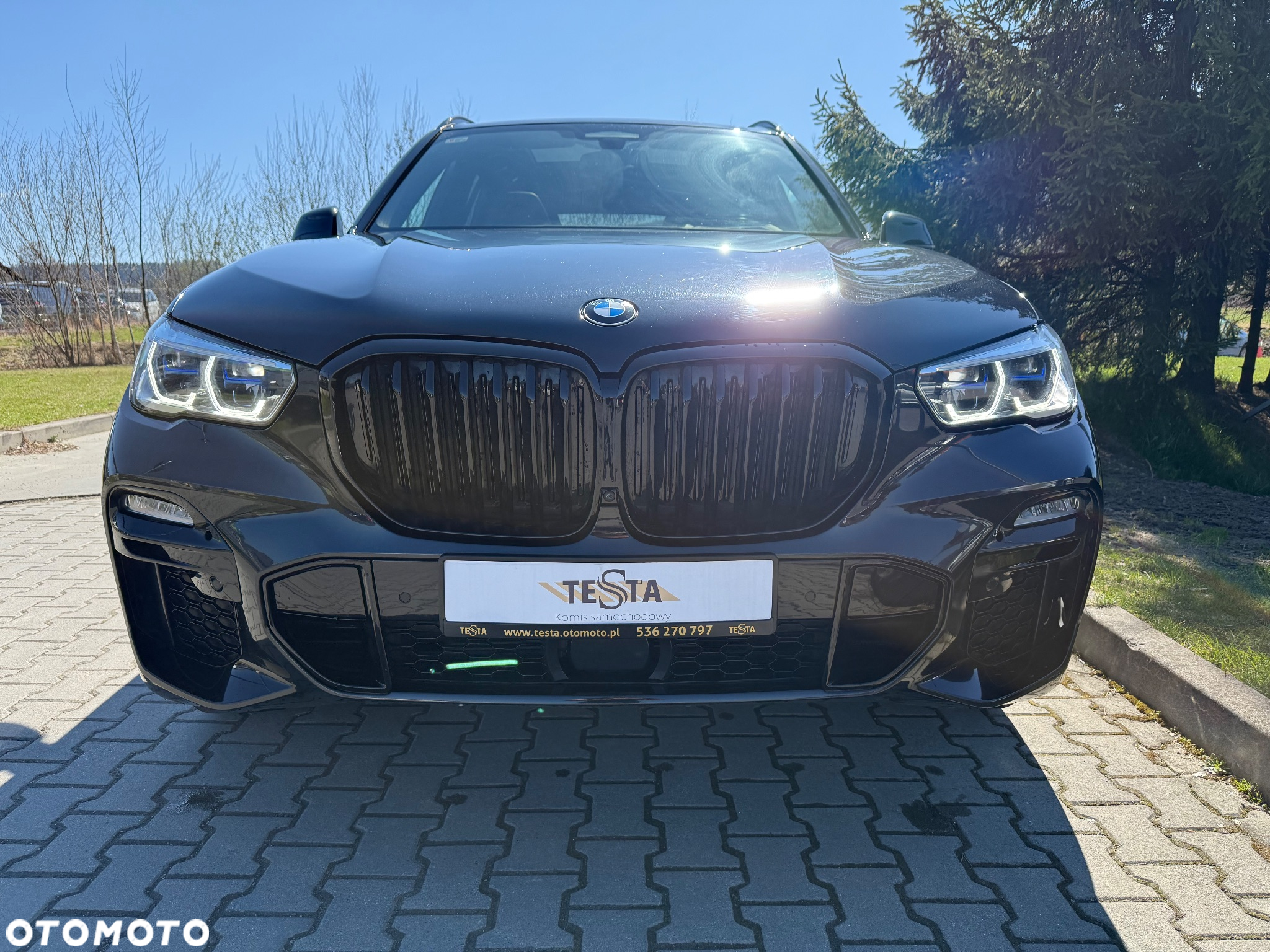 BMW X5 xDrive45e - 3