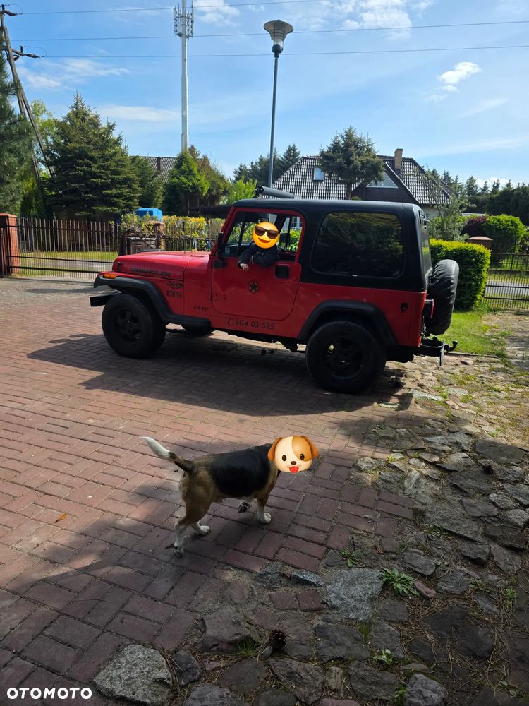 Jeep Wrangler - 2