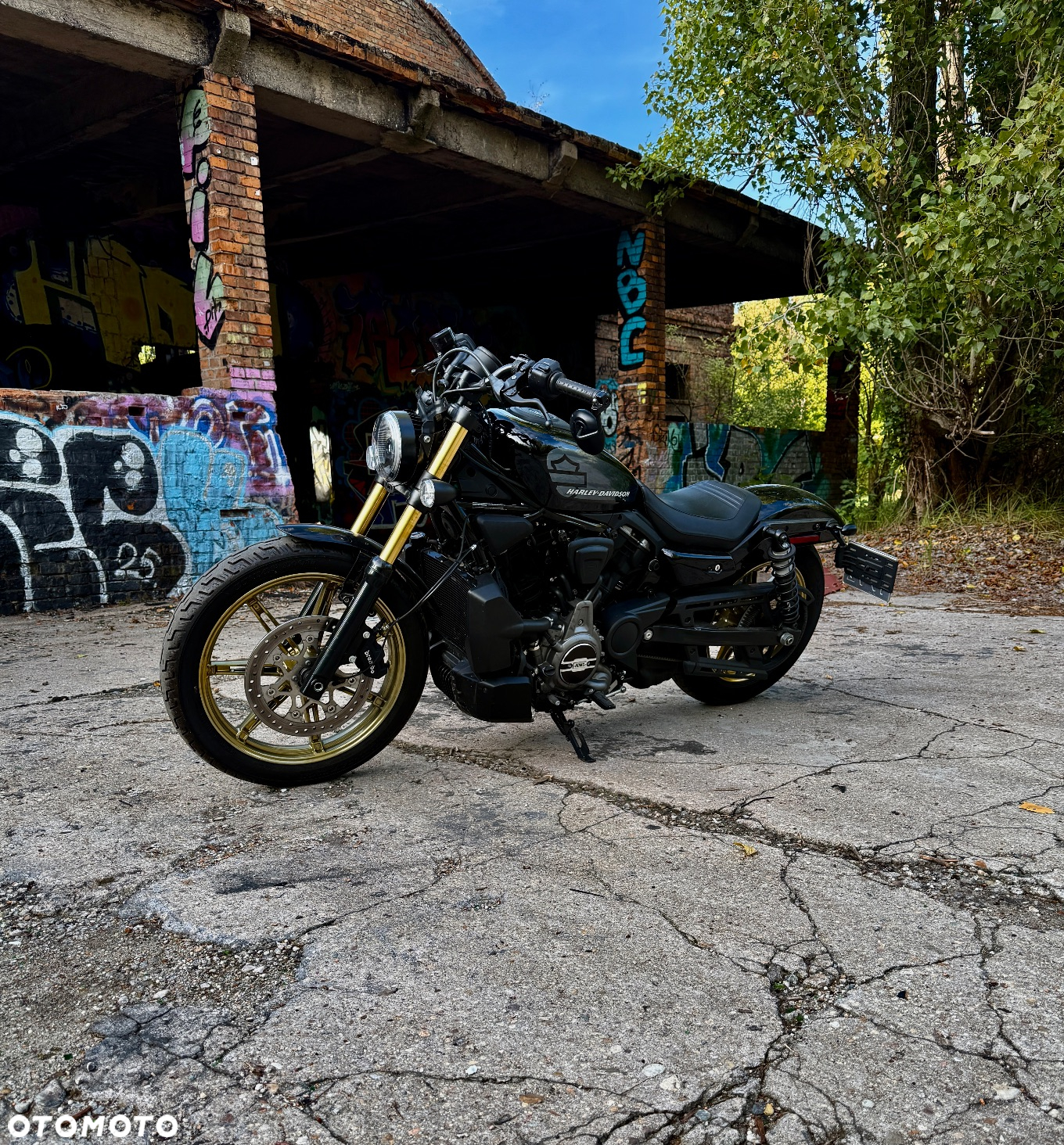 Harley-Davidson Sportster Nightster 975 - 2