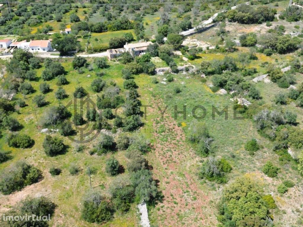 Terreno com ruina em Loulé - Grande imagem: 5/19