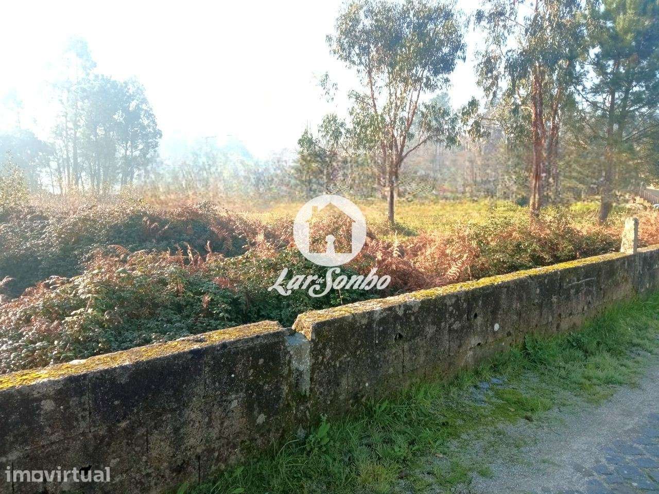 Terreno próximo de Braga - Grande imagem: 2/19