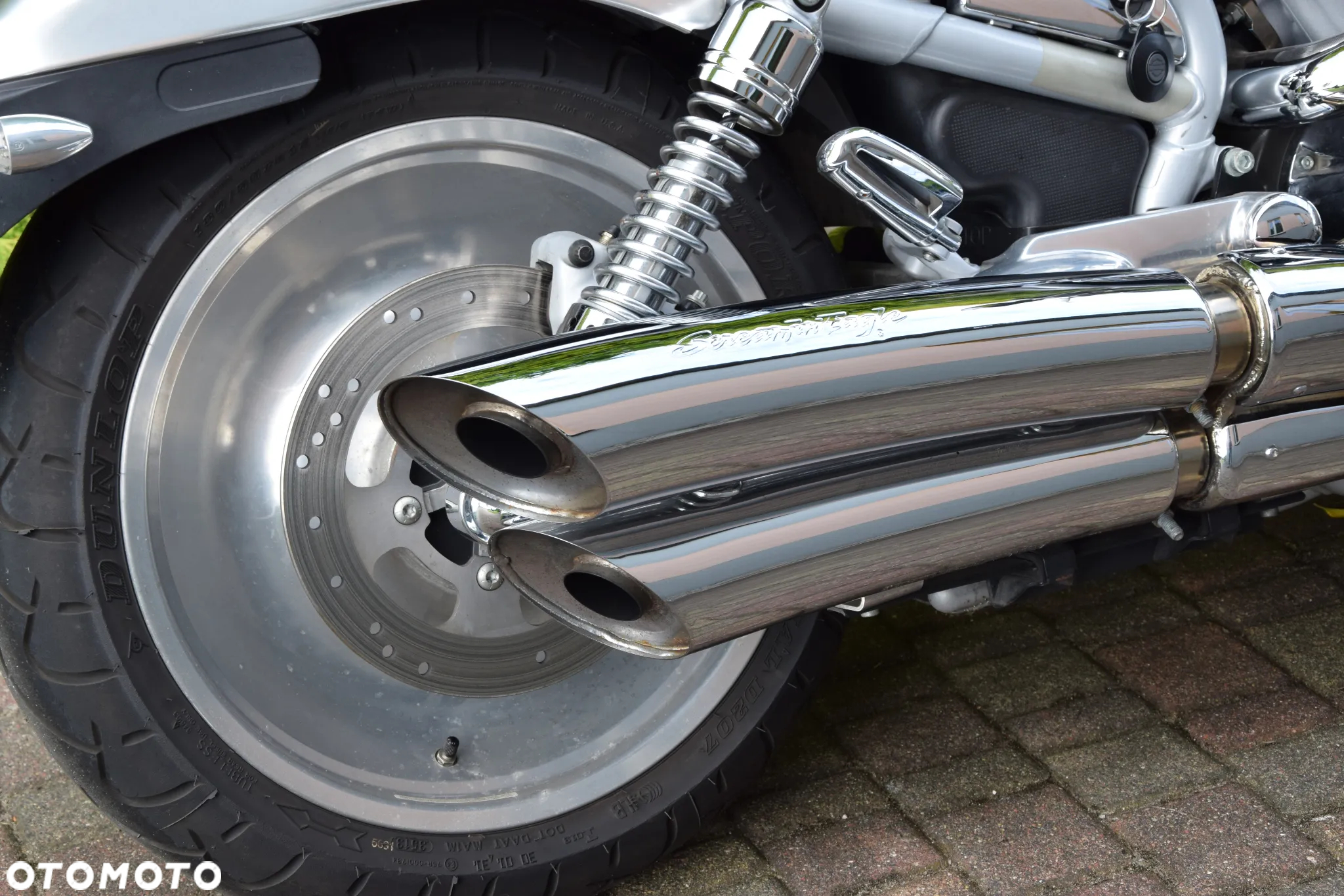 Harley-Davidson Softail V-Rod - 10