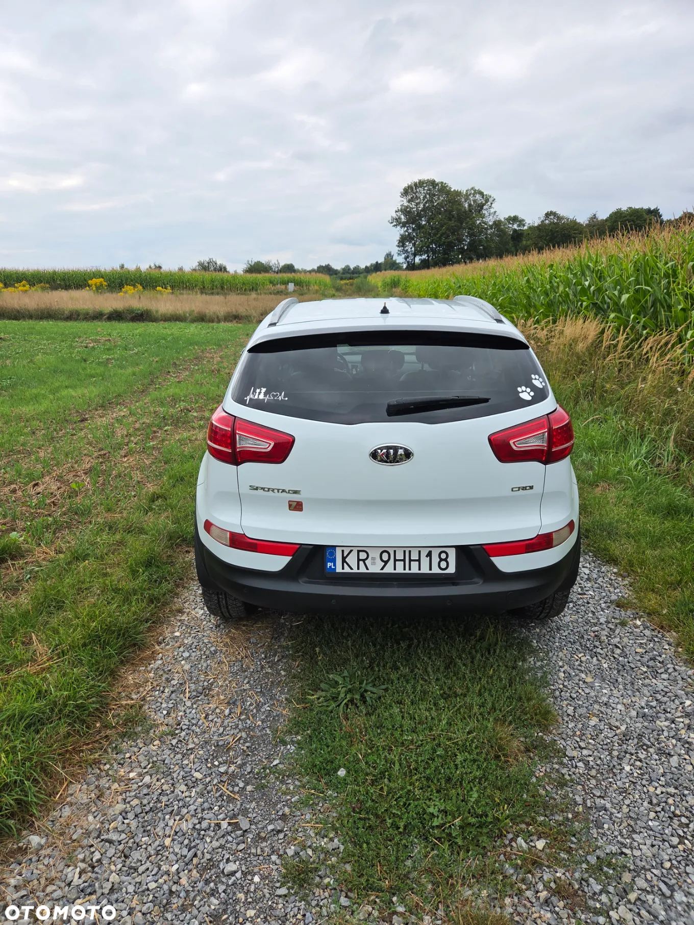 Kia Sportage 2.0 CRDI XL 2WD - 3