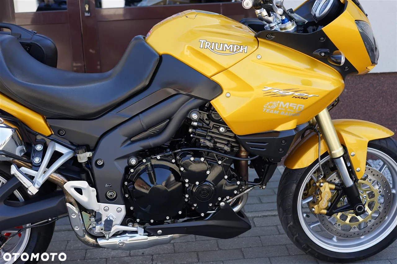 Triumph Tiger - 9