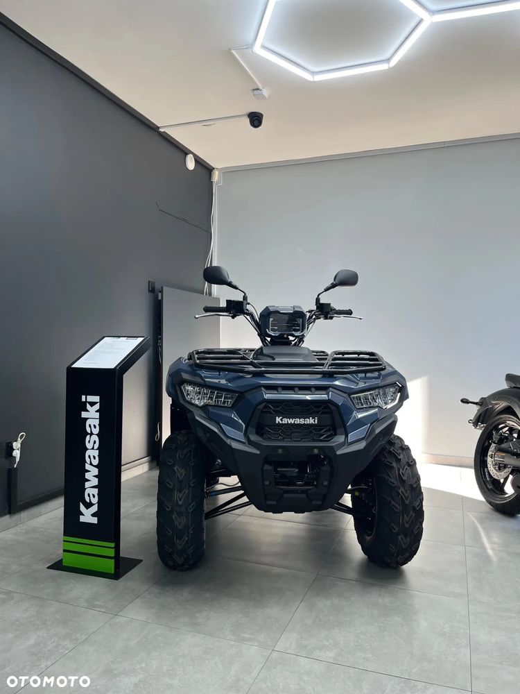 Kawasaki Brute Force