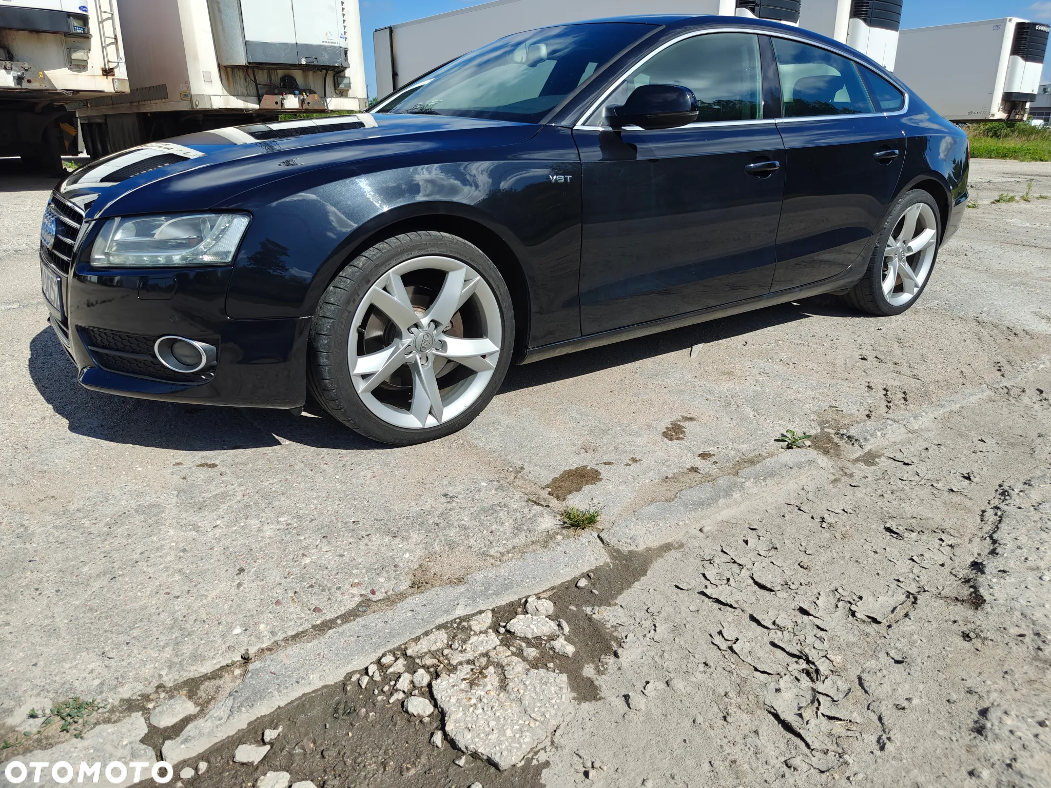 Audi A5 3.0 TDI Sportback quattro DPF S tronic - 5