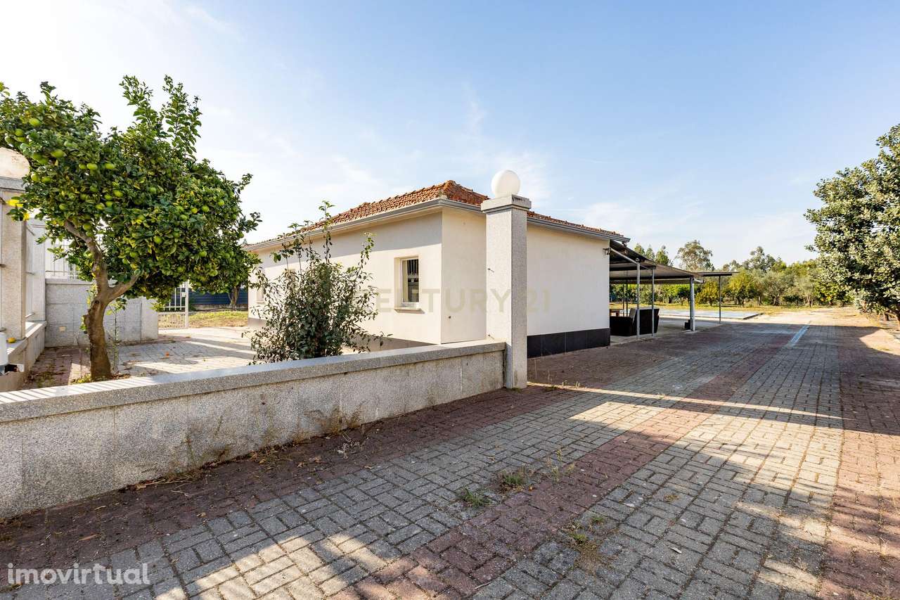 Quinta com Moradia || Um refúgio de tranquilidade e natureza - Grande imagem: 4/43