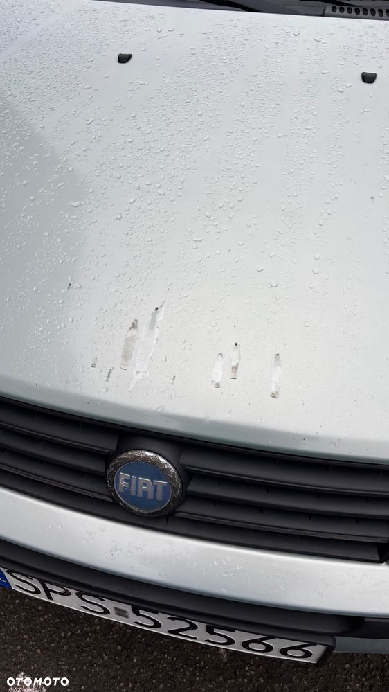 Fiat Punto 1.2 16V Dynamic - 5