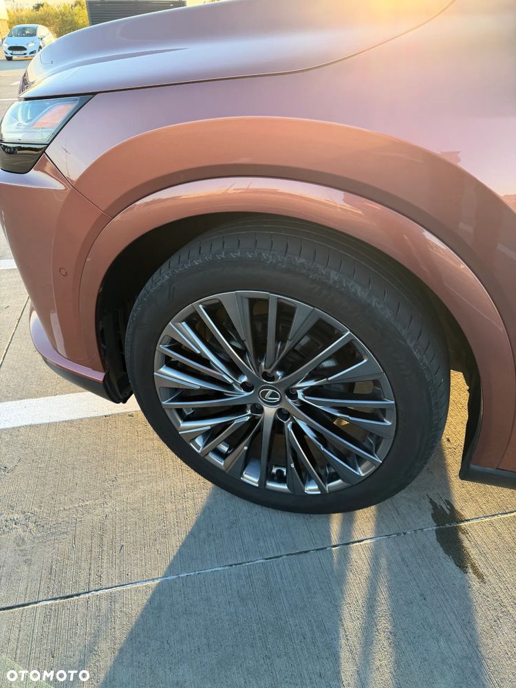 Lexus RX - 24