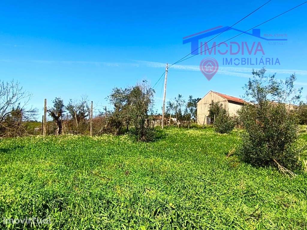 Quinta com mais de um héctar de terreno, em Graça, Pedrogão Grande - Grande imagem: 5/25