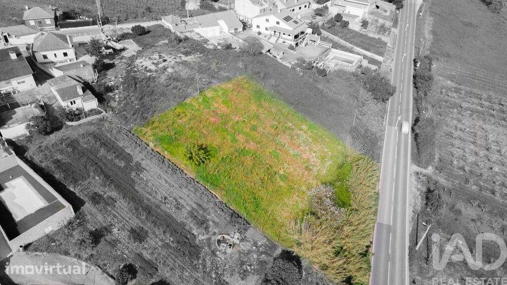 Terreno para construção em Cadaval e Pêro Moniz - Grande imagem: 3/28