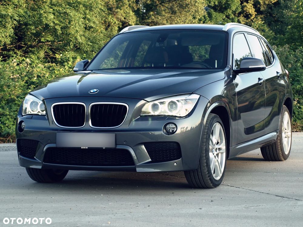 BMW X1 xDrive25d - 1