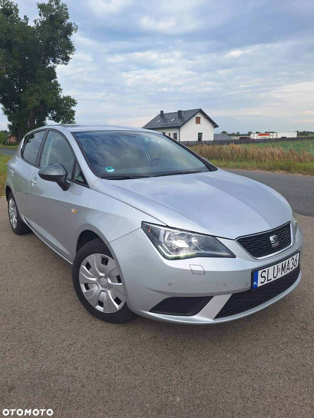 Seat Ibiza - 8