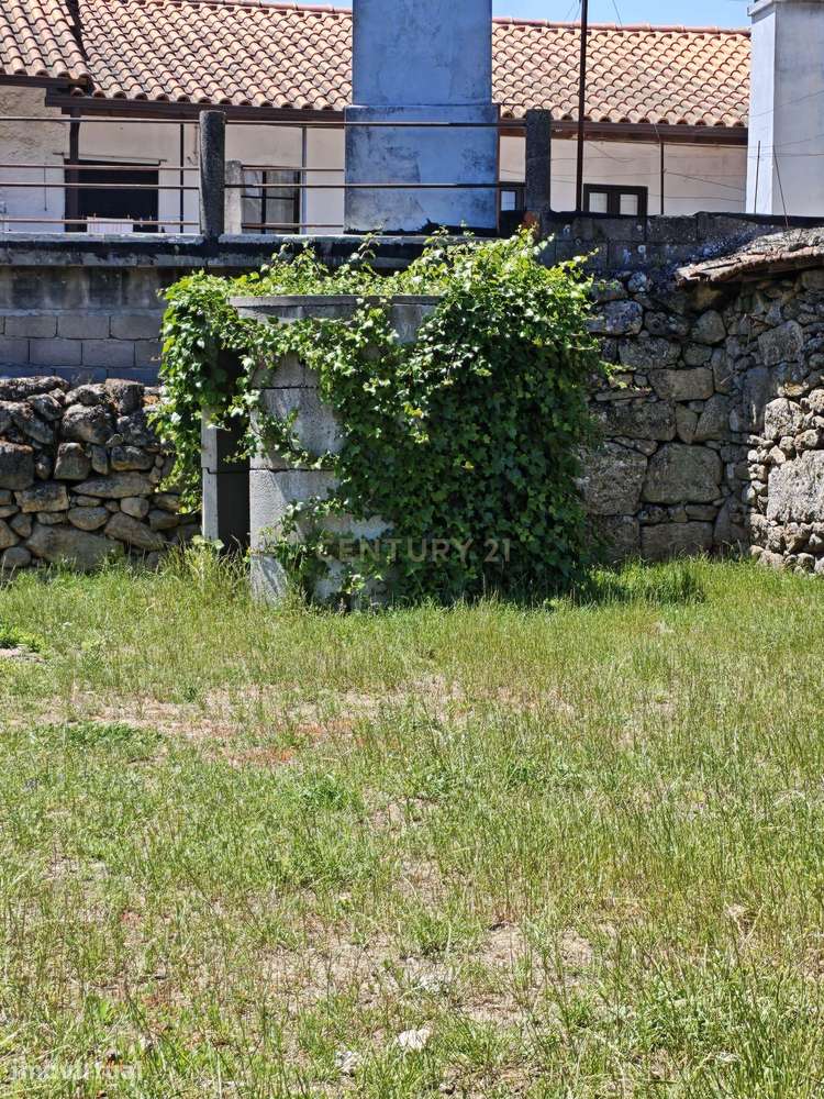 Casa Principal e mais 2 para Renovar com Jardim e Vinhedo em Vila Chã, - Grande imagem: 5/12