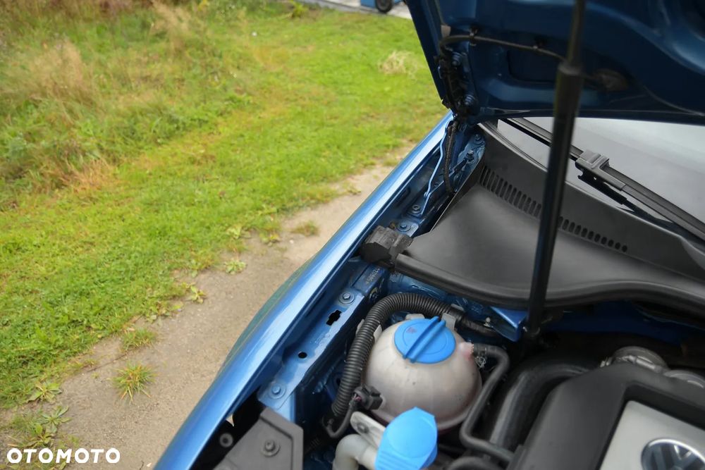 Volkswagen Golf - 36