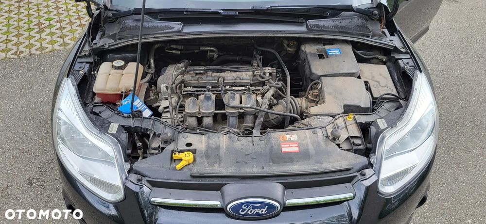 Ford Focus 1.6 TI-VCT Champions Edition - 25