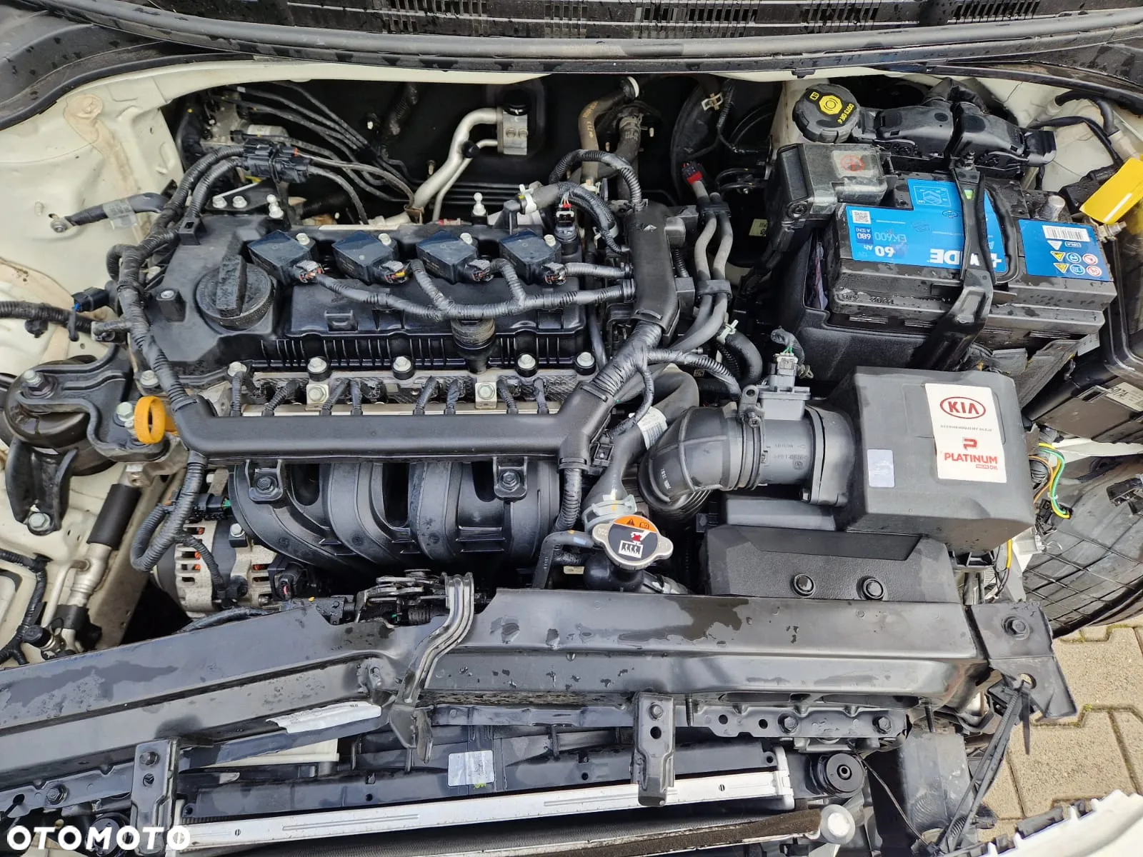 Kia Rio 1.2 M - 18