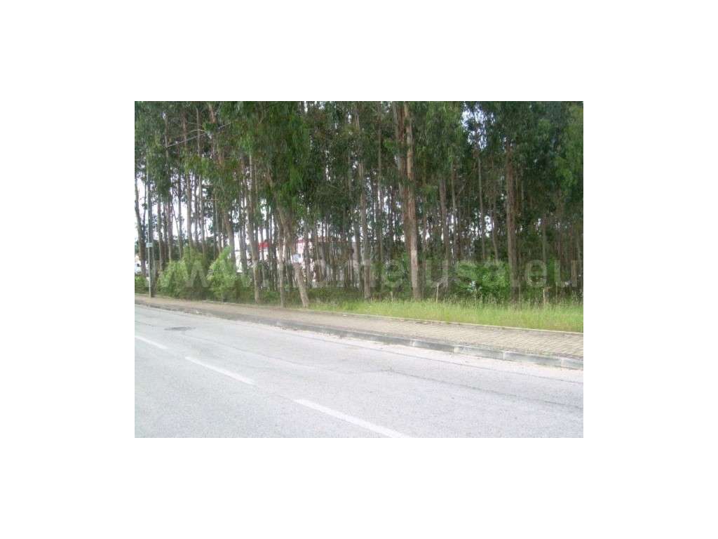 Terreno Venda Figueira da Foz - Grande imagem: 4/4