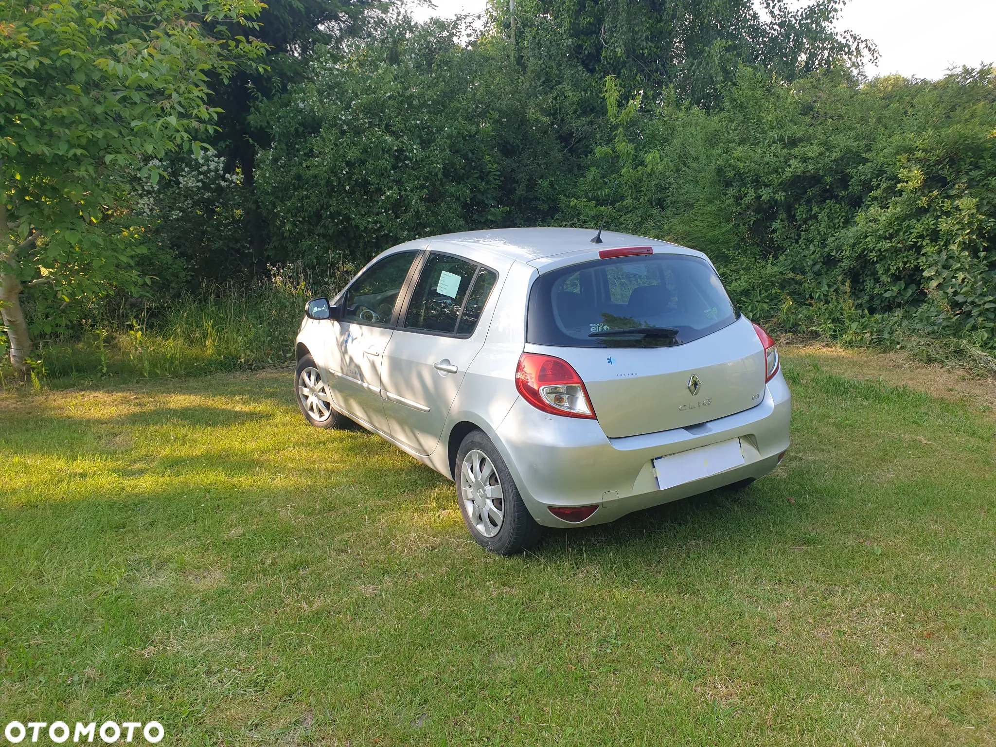 Renault Clio - 6