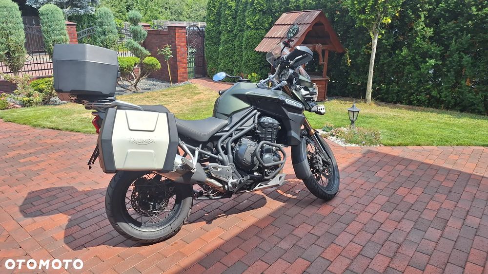 Triumph Tiger - 9
