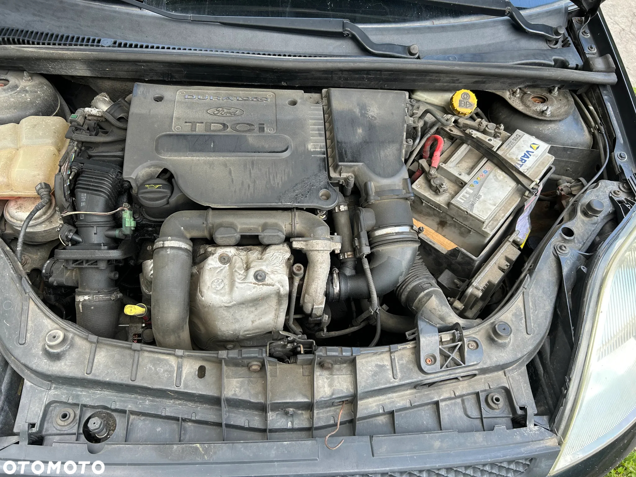 Ford Fiesta - 8