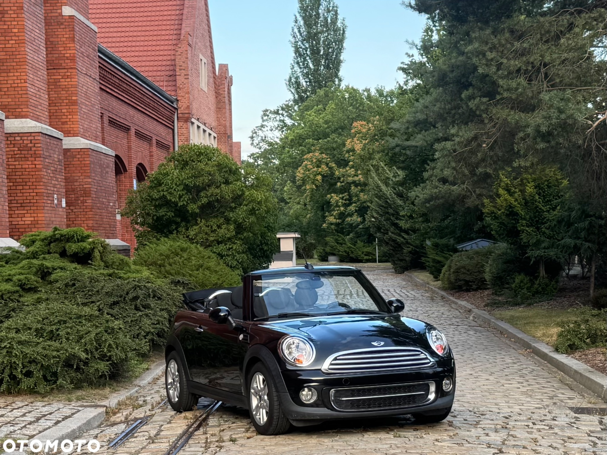 MINI Cooper Cabrio - 10
