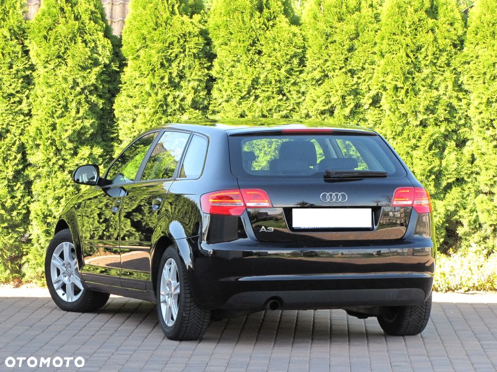 Audi A3 Sportback 1.6 Ambiente - 24