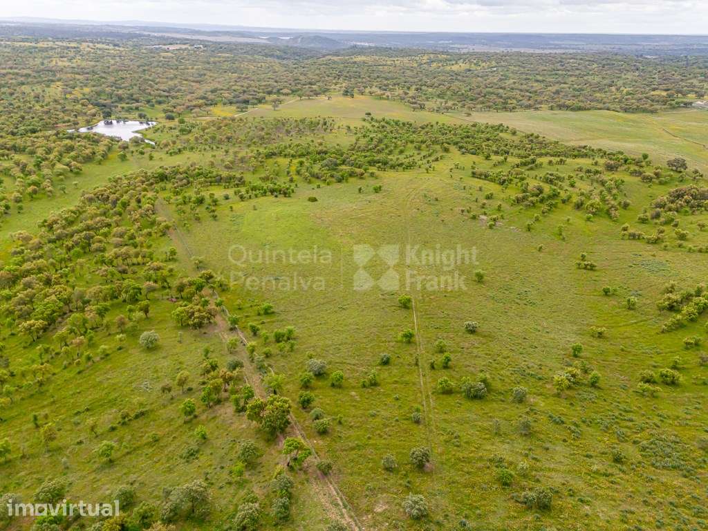 Herdade com 69,625 ha para venda em Alcácer do Sal - Grande imagem: 3/26