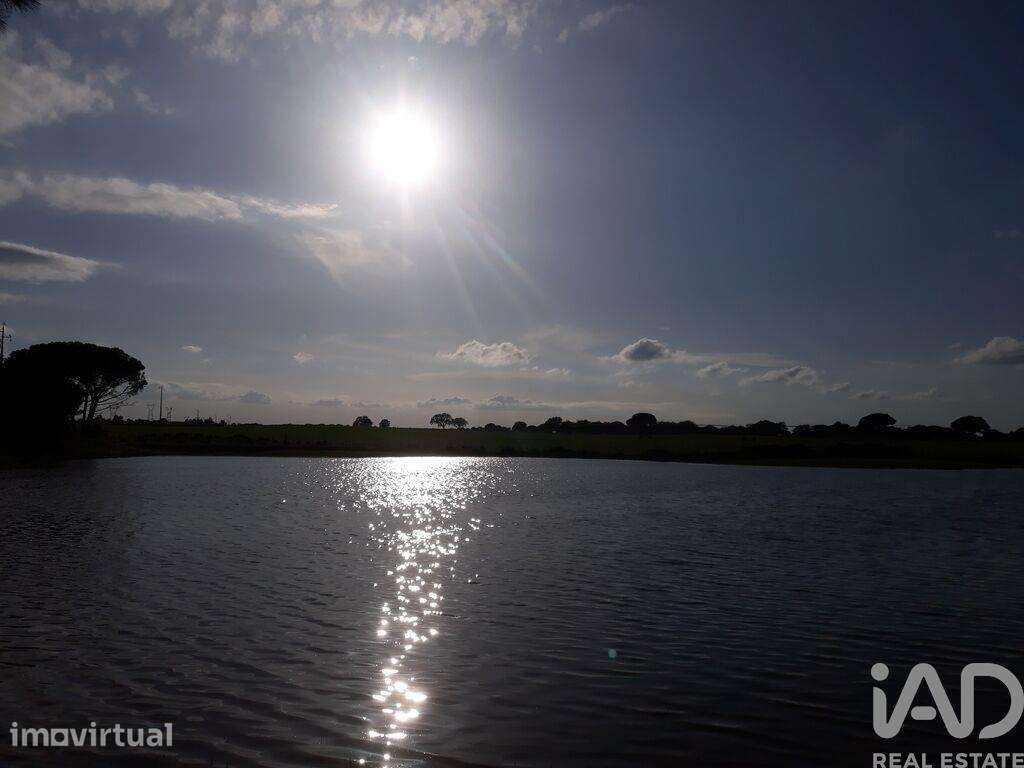 Terreno para construção T8 em Poceirão e Marateca de 1903,00 m2 - Grande imagem: 2/30