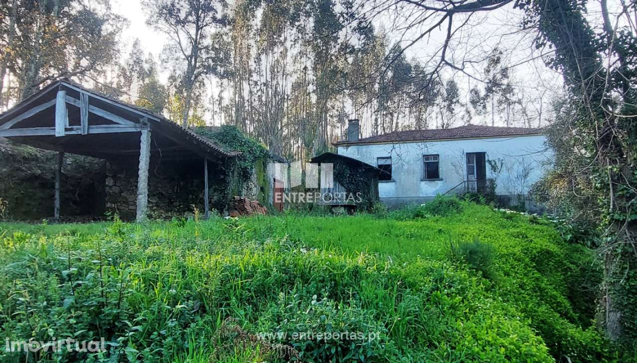 Venda de Quinta, Meixedo, Viana do Castelo - Grande imagem: 5/30